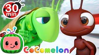 The Ant and the Grasshopper + More CoComelon Animal Time | Animals for Kids