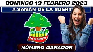 SAMÁN DE LA SUERTE EN VIVO. Resultado último sorteo SAMÁN DE LA SUERTE para hoy 19 DE FEBRERO 2023