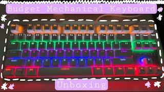 Unboxing a budget mechanical keyboard | Metoo Zero (£20)