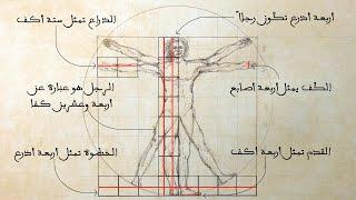 Vitruvian Man || Proportions