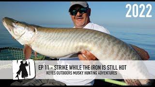 STRIKE While the MUSKIE-Iron is HOT - Keyes Outdoors Musky Hunting Adventures