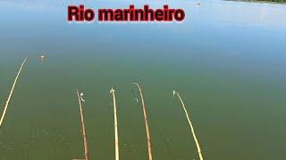 Pescaria caipira no Rio marinheiro, veja que impressionante de repente tudo mudou implacável