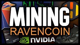 Mining RAVENCOIN | NVIDIA | HiveOS