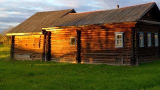 Конец лета в тайге. Жизнь и промысел в глуши. Рыбалка на лесной реке. Морошка, голубика, грибы.