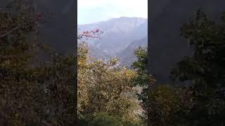 Kashmir ki vadi ke samne Kashmir ki kuchh bhi Nahin