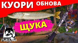 ЩУКА на КУОРИ / ГДЕ ЛОВИТЬ ЩУКУ НА КУОРИ ОБНОВЛЕНИЕ  РУССКАЯ РЫБАЛКА 4  Russian Fishing 4  РР4