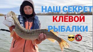 Раскрываем СЕКРЕТ наших КЛЁВЫХ рыбалок!!! Осенняя СУПЕР рыбалка!!!Обзор наших РАБОЧИХ  приманок.