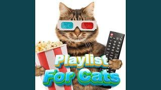 Cat Music