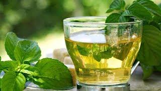 Stop Drinking Mint Tea and Eating Mint Leaves!