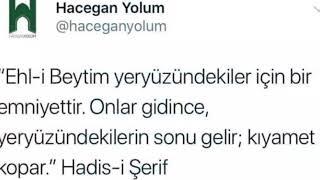 Teymen erol