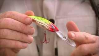 Rapala Deep Tail Dancer