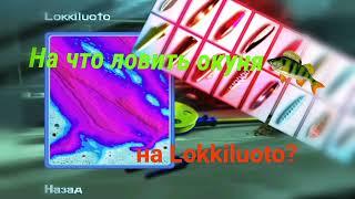 pro pilkki 2 mobile как играть на Lokkiluoto? Ловля трофейного окуня.