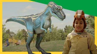 Ultimate Dino Showdown! T-Rex vs. Albertosaurus + More  Dinosaur Adventures! | Dino Dana @DinoKids