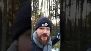The forest has perfect acoustics.