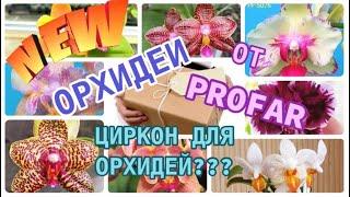 НОВЫЕ ОРХИДЕИ от Profar  ПЕРВАЯ ОСЕННЯЯ ПОСЫЛКА! Осенняя адаптация орхидеи. Про Циркон для орхидеи.