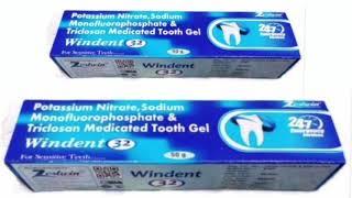 Windent 32 Medicated Tooth Gel