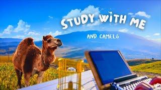  Camel Ranch Magic: Study With Me | Lofi Focus Music  Maximize Productivity&Success50/10 Pomodoro