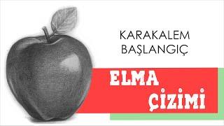 Kolay Elma Çizimi, Karakalem, Basit Çizim