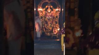 Tirupati Balaji Temple ️#shorts #minivlog #tirupatibalaji #viralvlogs