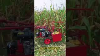 single row corn harvester machine , harvesting corn is so easy ! #farming#corn #harvester