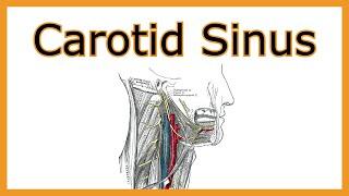 Carotid Sinus Hypersensitivity