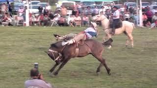 Monta especial de Pelecho Villareal vs El Negrito en Campo Nano Kaiser 2019 Alcaraz (Entre Rios)