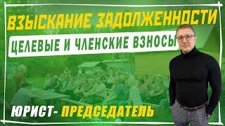 Взыскание задолженности в СНТ: целевые и членские взносы | Канал председателя СНТ