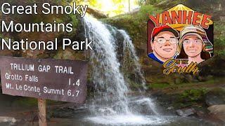 Grotto Falls My Favorite Waterfall Hike in The Great Smoky Mountains National Park 2020