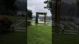 #rain#rainsounds #rainyday #lvk