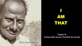 Chapter 18 - I Am That, Sri Nisargadatta Maharaj
