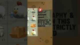 НАРУШИЛ ПРАВИЛО ИЗ ЧИКЕН ГАНА! #chickengun #димон #ден #zhura24k #chicken #den19k #dimon #chaloapps