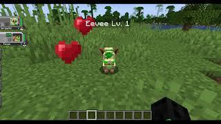 Petting My Eevee but in Minecraft