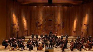 Strahinja Mitrović double bass - Nino Rota Divertimento Concertante I Allegro Maestoso