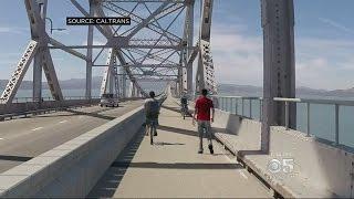 Hummingbird Nest Halts Upgrades On Richmond-San Rafael Bridge