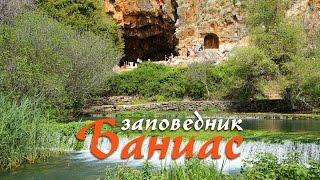 Заповедник Баниас, Израиль. Banias Nature Reserve, Israel