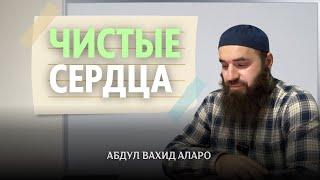 Чистые сердца | Абдул Вахид Алларо