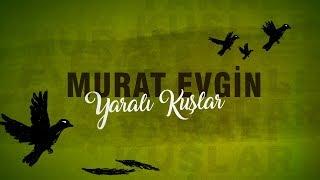 Murat Evgin - Yaralı Kuşlar - Omer, Sueños Robados (Lyrics)  "Pájaros heridos" Subtitulos Español !