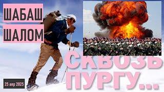 * СКВОЗЬ ПУРГУ * ШАБАШ ШАЛОМ? *