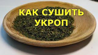 Как сушить укроп