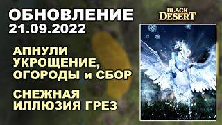  БУСТ КОНЕВОДОВ  СНЕЖНЫЙ АДУАНИТ ГРЕЗ + КОРЕЯ  БДО Обновление 21.09 (BDO-Black Desert)