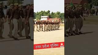 UP asali ki rani Ham up ke Raja#up police #mayankraj116#shirtvideo Up Police vardi ka janun #newsong