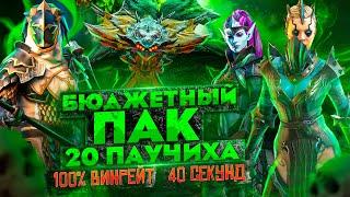 "Бюджетный ПАК" 20 паук RAID | Убивай за 40 сек и со 100% ВИНРЕЙТОМ | Raid: Shadow Legends