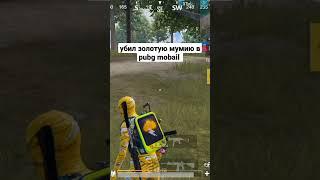 золотая мумия pubg