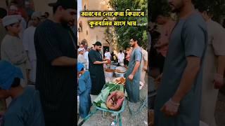 আরবের লোকেরা কিভাবে ঈদ উদযাপন করে দেখুন  Eid Mubarak