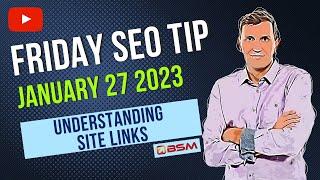 Understanding Sitelinks (The Links Displayed Below Your Main Site on the SERPs) | Friday SEO Tip