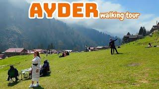 Rize Ayder Walking Tour | May 2024 ( Ayder Yaylası )