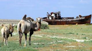 На месте Аральского моря – самая быстрорастущая пустыня в мире (новости)