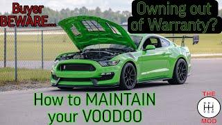 GT350/Voodoo PROPER care and maintenance secrets REVEALED!!! Should you avoid buying a USED GT350?