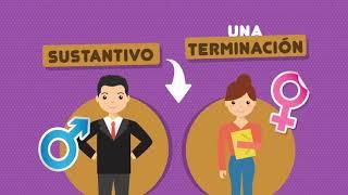 El sustantivo y adjetivo - Clase didáctica - USMPTV