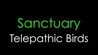 Telepathic Birds — Sanctuary